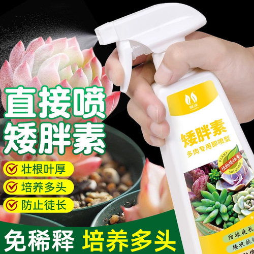 多肉植物专用矮胖素爆芽促根增色