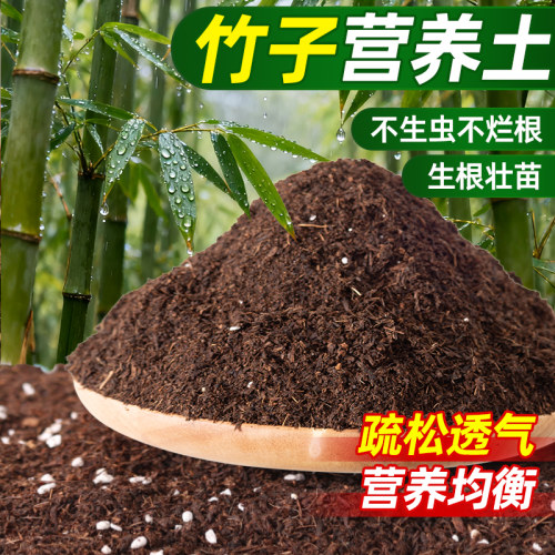 竹子专用营养土室内阳台家用土壤