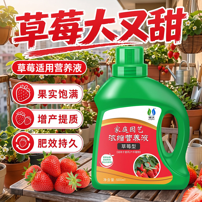 草莓专用肥营养液家用农用种菜花卉果蔬绿植盆栽专用液体型营养液