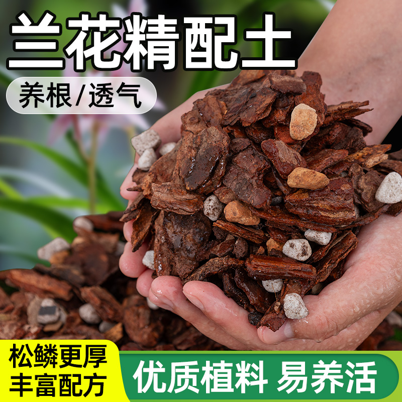兰花专用营养土植料通用