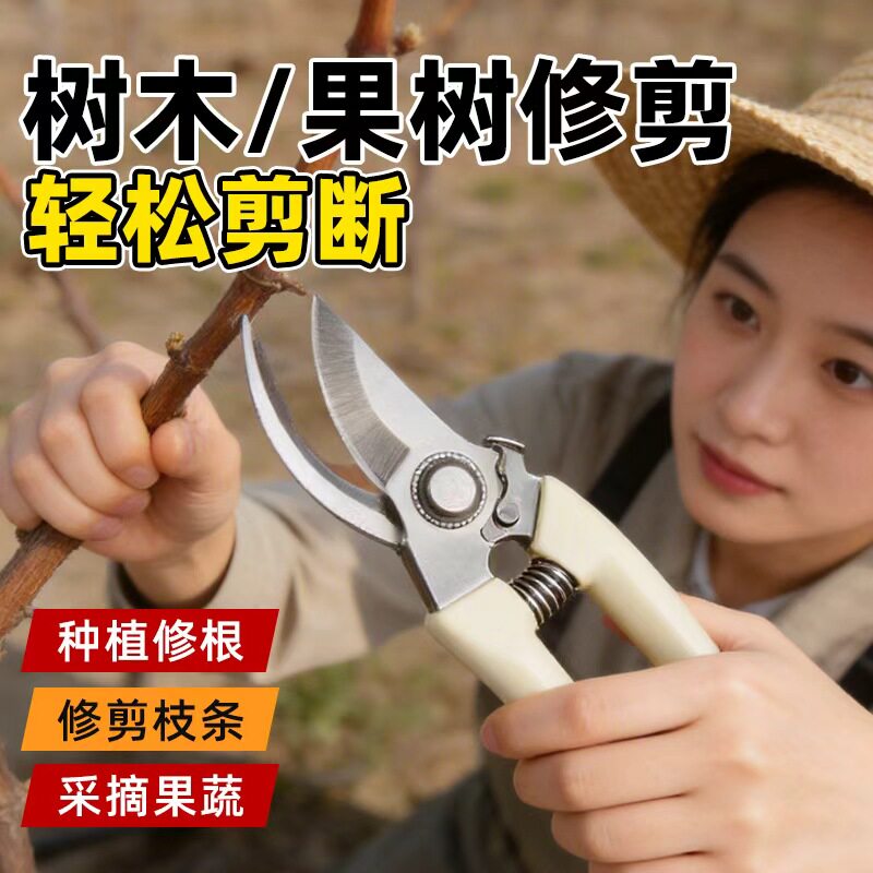 花剪园艺剪刀修剪树枝专用剪刀图片
