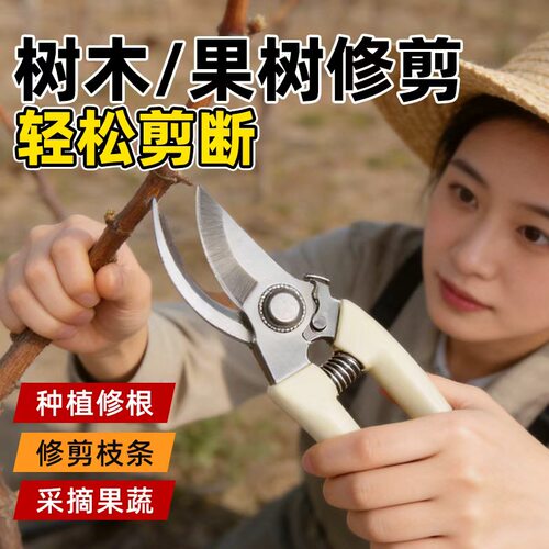 花剪园艺剪刀修剪树枝专用剪刀