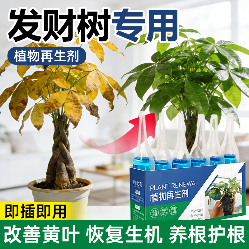 发财树专用植物再生剂营养液浓缩绿植盆栽复活液黄叶枯叶烂根专用,鲜花速递/花卉仿真/绿植园艺,家庭园艺肥料,淘宝优惠券,粉丝福利购,淘宝优惠卷