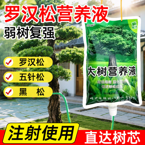 罗汉松专用营养液吊针液改善黄叶