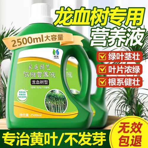 领沃龙血树营养液专用肥水培室内