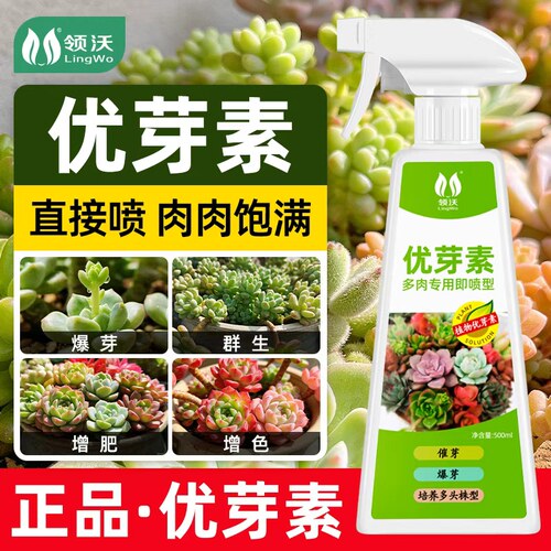 优芽素多肉专用肥辅助增色型饱满