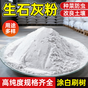 生石灰种菜专用正宗白灰粉家用菜地50斤消毒防潮吸霉刷树木干燥剂