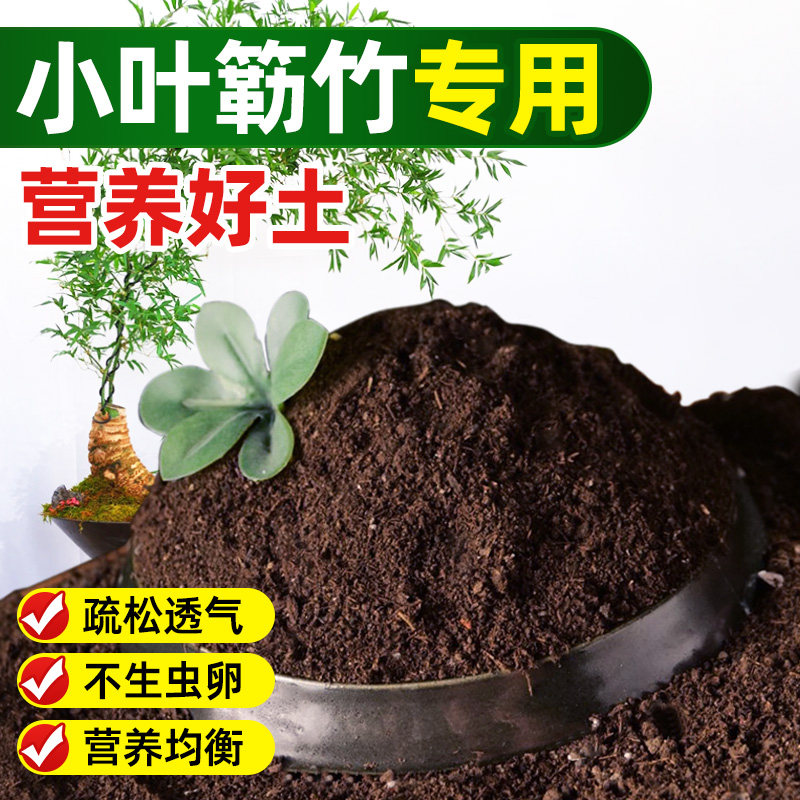 小叶簕竹专用营养土养花通用花土多肉种菜种花育苗透气疏松有机土,鲜花速递/花卉仿真/绿植园艺,家庭园艺肥料,淘宝优惠券,粉丝福利购,淘宝优惠卷