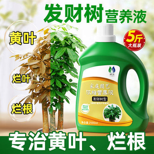发财树专用营养液水土培植物通用