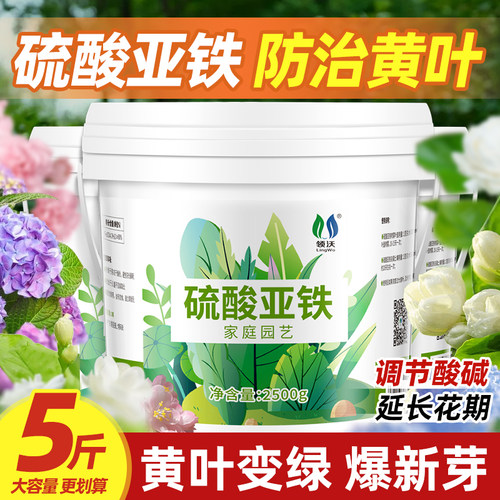 硫酸亚铁花卉绿植专用水溶肥促花