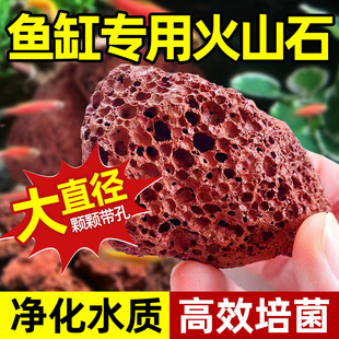 火山石鱼缸专用颗粒水族垫底砂生态造景大块火山岩养鱼乌龟过滤用