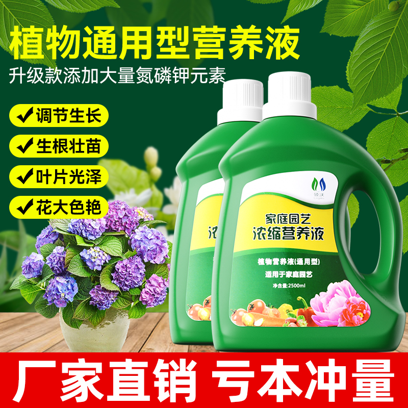 营养液植物通用型花肥料家用盆栽