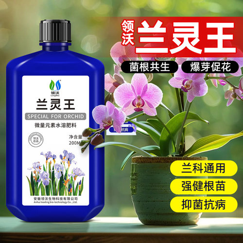 兰灵王兰科营养液治黄叶黑斑壮根
