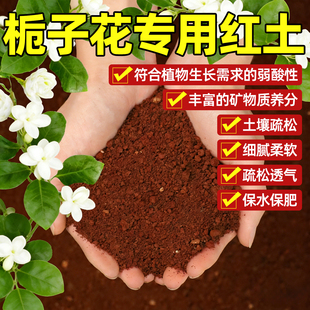 栀子花专用土红土种植土云南天然酸性泥土喜酸植物家用种花营养土