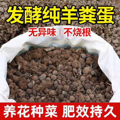 内蒙古有机羊粪蛋肥无异味不烧根