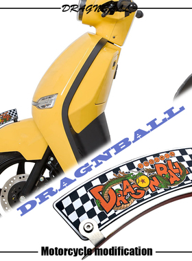 适用于维斯帕VESPA Sprint150冲刺改装挡泥板个性格子卡通装饰板