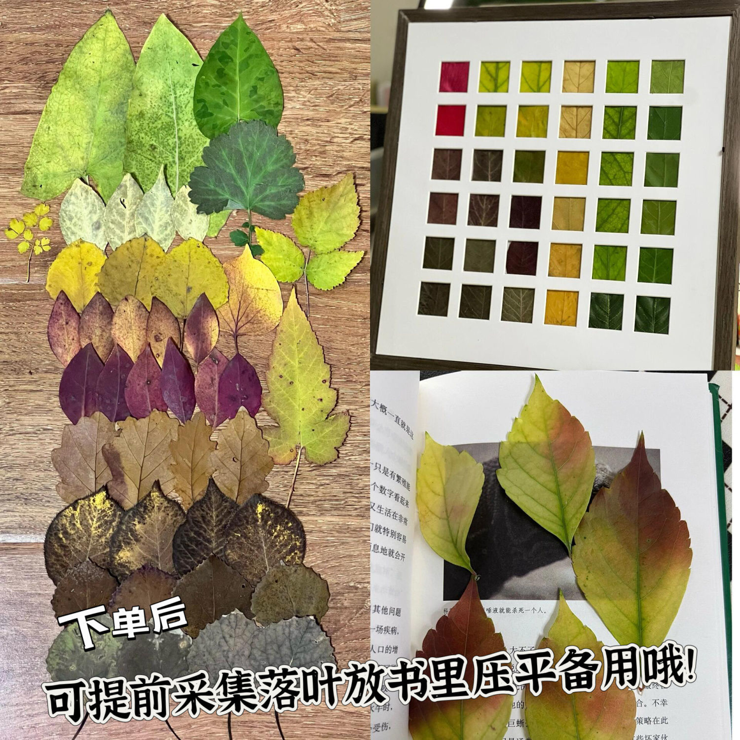 落叶画框24宫格25宫格16宫格48空格相框diy手绘简笔画框树叶装饰图片