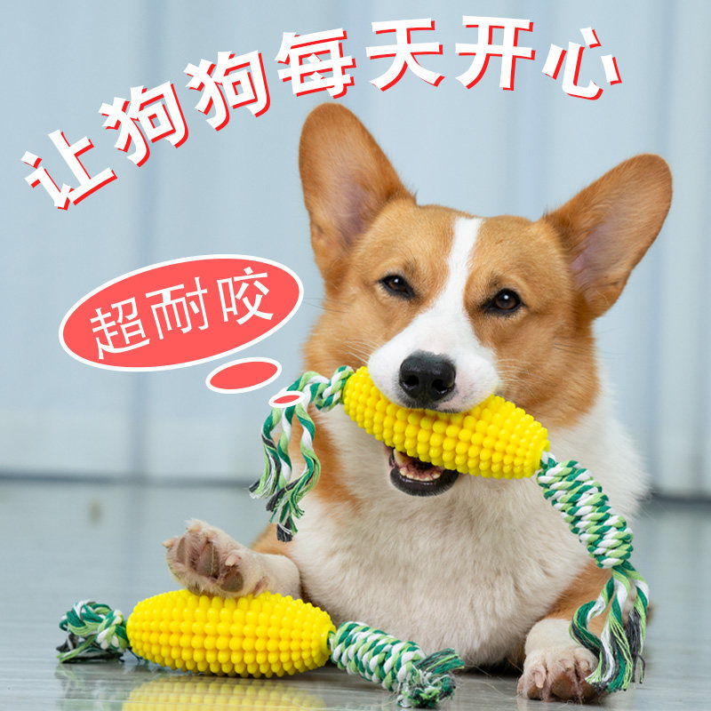 狗狗玉米玩具磨牙啃咬柯基犬洁齿耐咬解闷神器柴犬小中大型犬绳结
