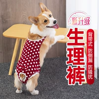 Мальчик -собака физиологические штаны Женщина собака санитарные штаны