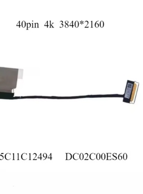 联想 T15 Gen 2 P15s Gen 2  4K 40Pin 5C11C12494 DC02C00ES60