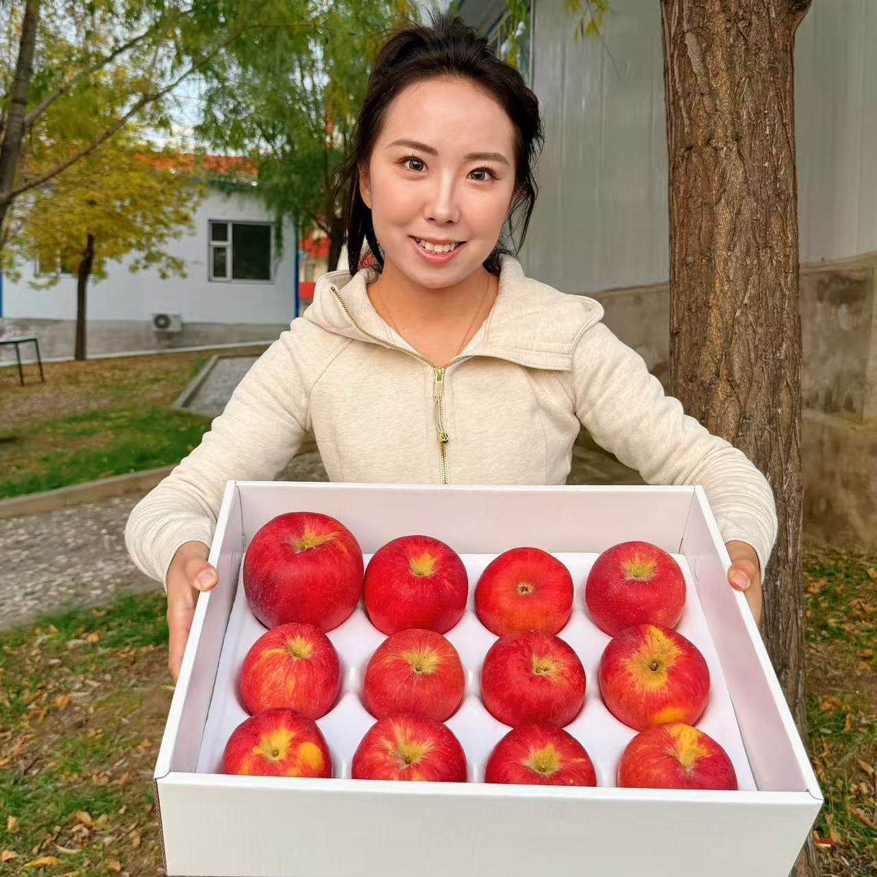 垣上玉露香苹果山西特产玉露香苹果新鲜水果脆甜,水产肉类/新鲜蔬果/熟食,苹果,淘宝优惠券,粉丝福利购,淘宝优惠卷