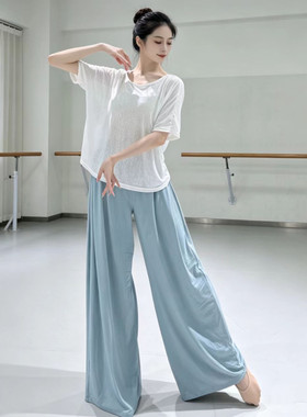共妍夏季镂空上衣专业舞蹈练功服