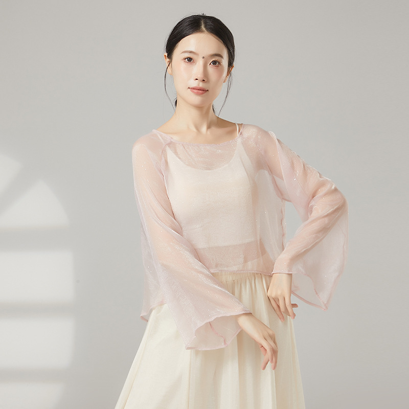 2025新款古典舞纱衣演出服仙气飘逸宽松网纱上衣古风舞蹈服表演服