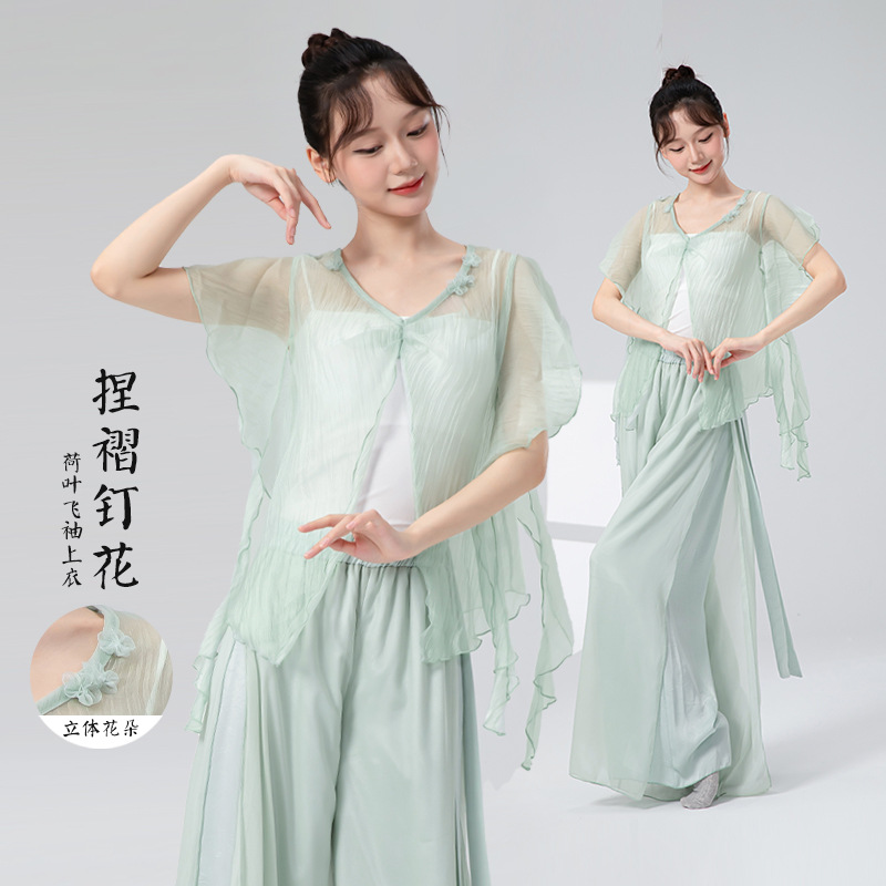 古典舞蹈服女夏季新款飘逸纱衣练功服教师专业中国舞民族舞演出服