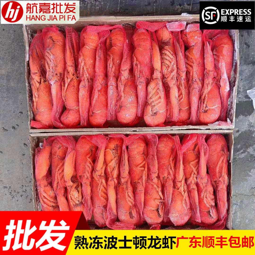 新季熟冻波士顿龙虾300-400克澳洲精选龙虾整箱广东顺丰包邮