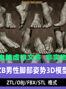 zbrush写实男性脚部模型脚掌足部姿势雕刻STL打印模型OBJ多边形