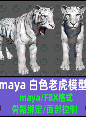 maya老虎模型白色老虎写实动物材质渲染骨骼绑定面部表情3D模型