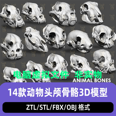 ZBrush鳄鱼老虎野兽猫科动物怪物ZB动物头骨骨骼模型STL打印3dmax