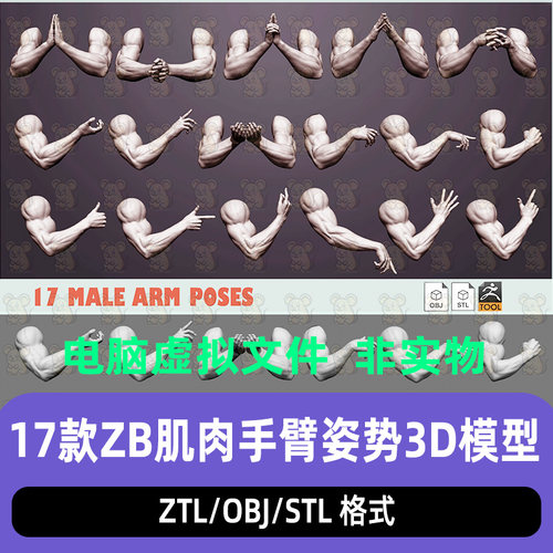 ZBrush男性肌肉手臂手掌模型手臂姿势手势雕刻ZTL模型STL打印模型