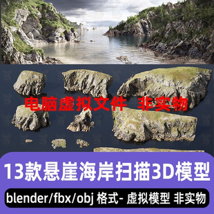 blender大型海岸悬崖峭壁岩石c4d山脉山体地形景观3d扫描模型maya