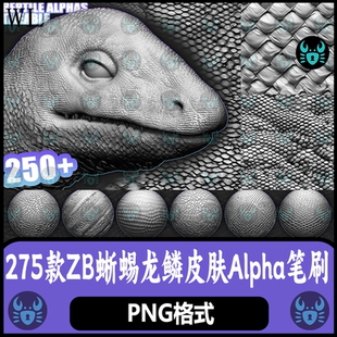 ZBrush蜥蜴恐龙蛇皮龙鳞皮肤鳞片Alpha笔刷置换贴图雕刻 zb笔刷