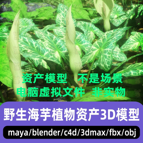 3dmax blender影视写实马蹄莲maya魔芋多株植物C4D湿地资产3d模型
