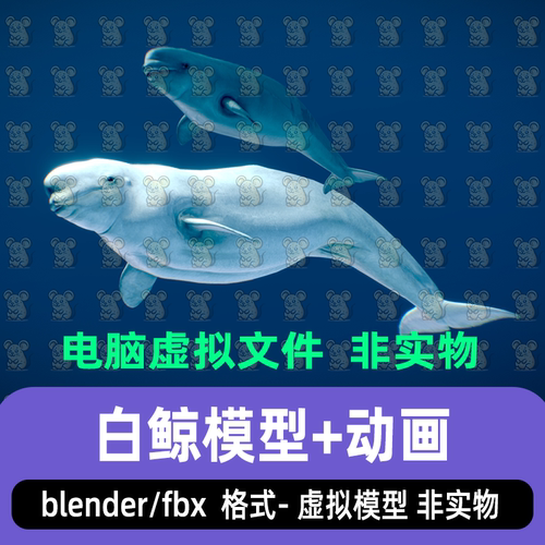 blender影视级写实海洋生物动物鲸鱼白鲸3d模型贴图骨骼绑定动画