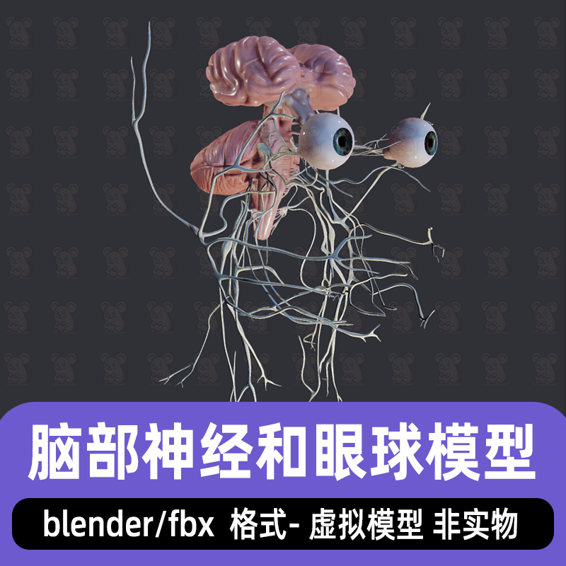 maya脑部神经模型3dmax眼睛眼球blender脑干神经系统模型素材fbx