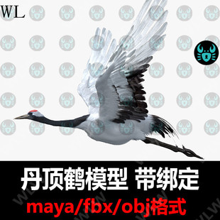 maya模型高精写实丹顶鹤鸟类有绑定贴图骨骼肌肉turbosquid K206