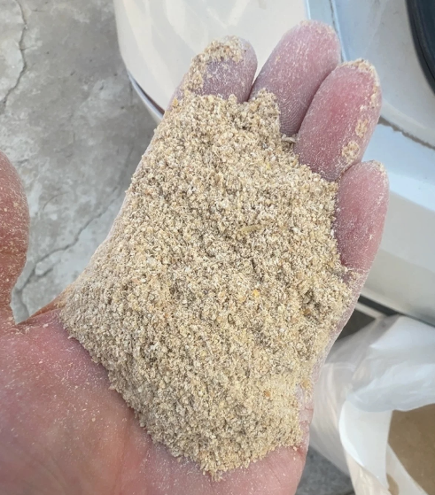 玉米棒子面粉狗粮原打窝钓鱼饵专用散装小鸡鸭鹅宠物饲料50斤包邮