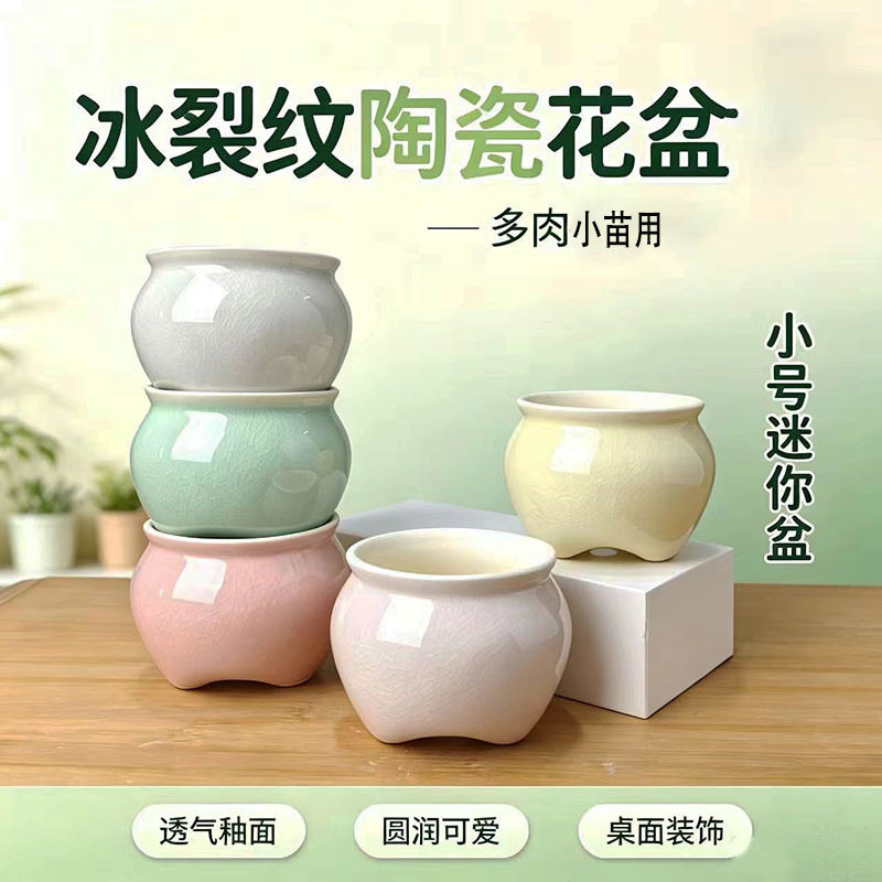 多肉陶瓷迷你透气带孔花盆