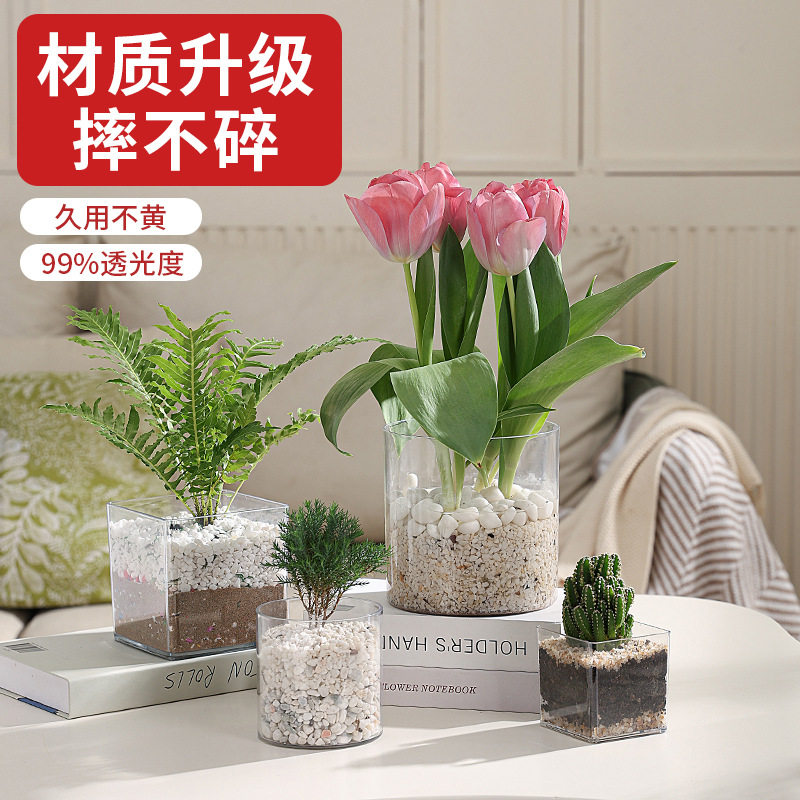 透明方缸塑料水培花瓶