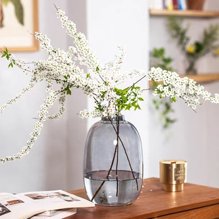 大肚透明玻璃花瓶客厅插花摆件马醉木雪柳专用简约高级感绿植花器