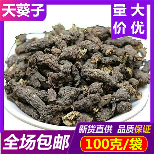 老鼠屎天葵子500g克紫背天魁包邮