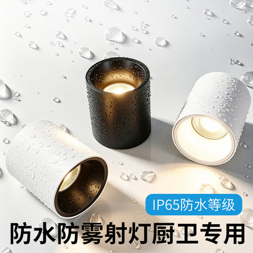 led明装防水射灯家用浴室卫生间天花户外店铺门头cob明装吸顶筒灯