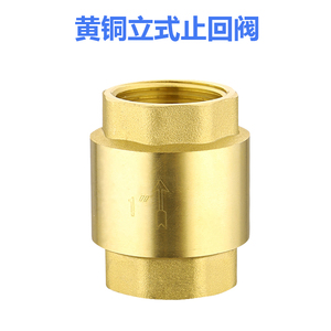 全铜止回阀加厚内丝4分6分1寸水管水表dn25弹簧立式单向逆止阀20