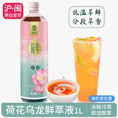 速品食品荷花乌龙茶鲜萃茶液1L