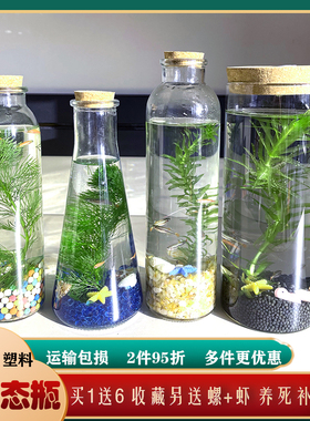 生态瓶DIY科学作业小鱼虾真水草生态缸斑马金丝玻璃鱼缸公司礼品