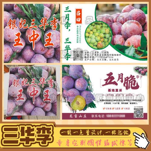 定制前排三华李蜂糖李标签贴纸