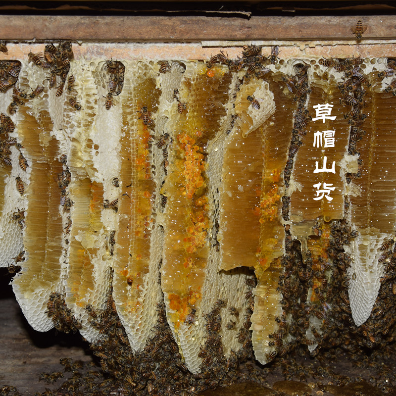 土蜂蜜纯农家天然自产百花蜜深山中华土蜂蜜成熟原蜜500克